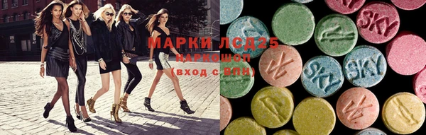 ПСИЛОЦИБИНОВЫЕ ГРИБЫ Тайга