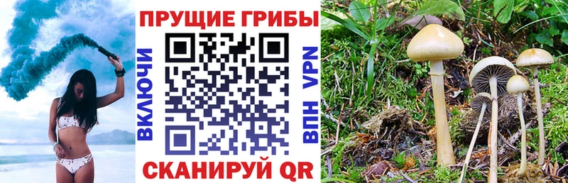 Галлюциногенные грибы мухоморы Верхняя Тура